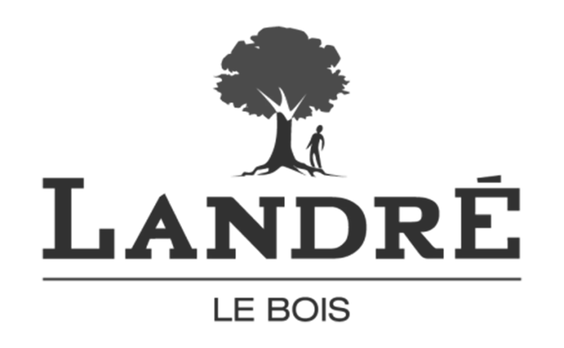 landreBois-logo-NB
