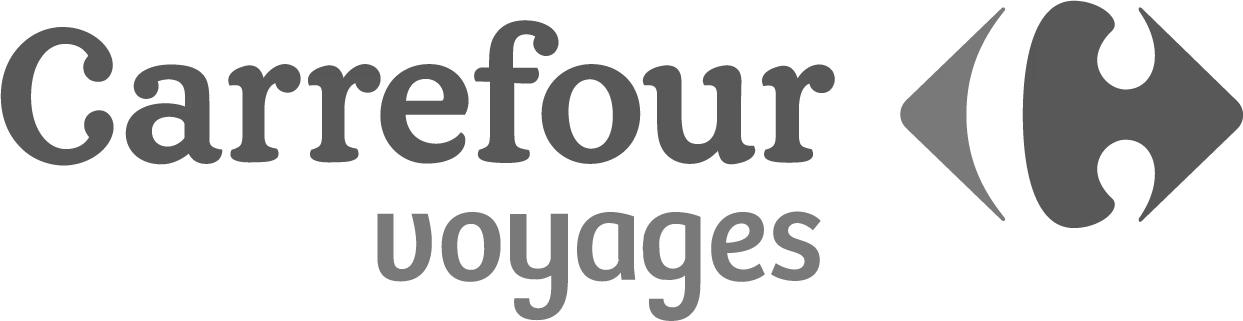 logo Carrefour voyage Projets